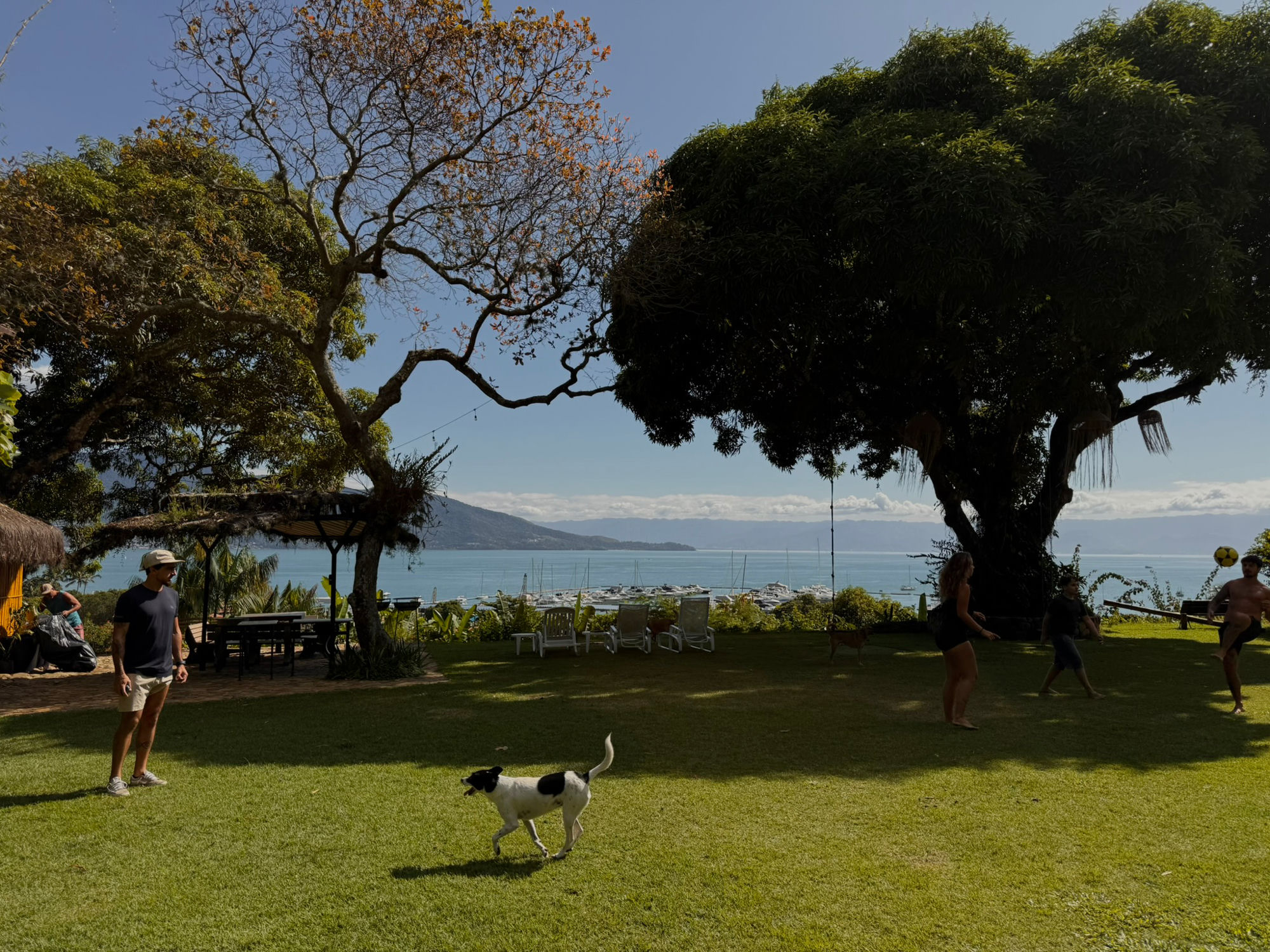 Seaside garden with a marina, pickup football and a dog